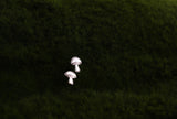 Graphic Mushroom Studs - Sweet November Jewelry