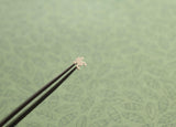 Tree Frog Tragus Stud - Sweet November Jewelry