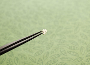 Monstera Leaf Tragus Stud - Sweet November Jewelry