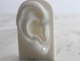 Starfish Studs in Sterling Silver - Sweet November Jewelry