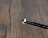 Cute Garden Gnome Tragus Stud - Sweet November Jewelry