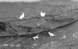 Set of 4 Cat Stud Earrings, Sterling Silver Mismatched Cat Earrings